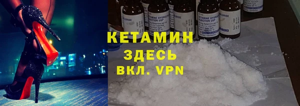 крисы Бородино