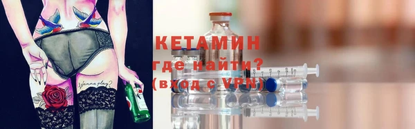 крисы Бородино