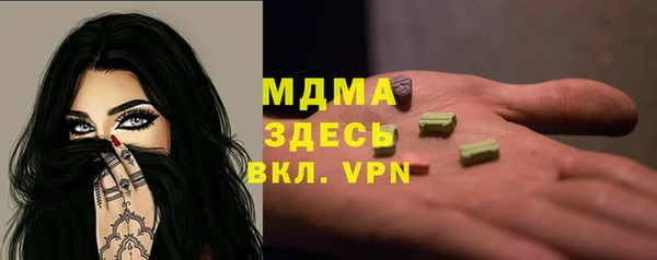 крисы Бородино
