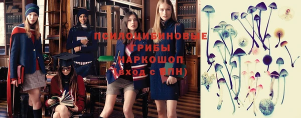 крисы Бородино