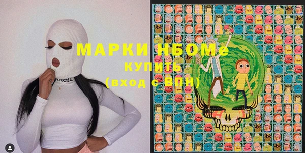 крисы Бородино
