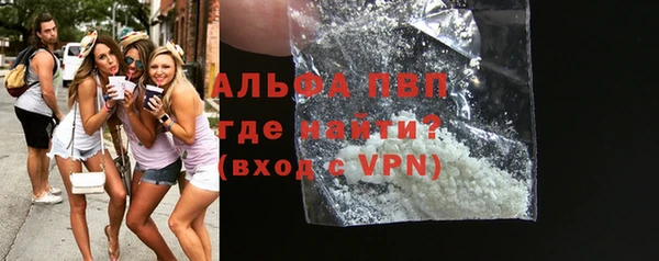 крисы Бородино