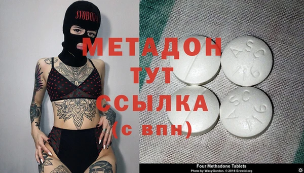 крисы Бородино