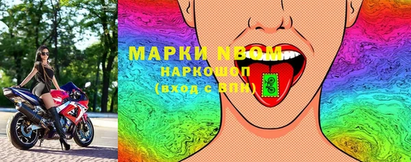 крисы Бородино