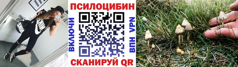 Галлюциногенные грибы MAGIC MUSHROOMS  Купить закладки  Сольвычегодск 